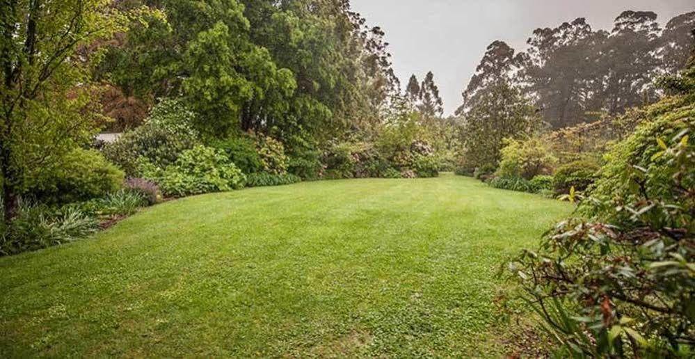 Maison d'hôtes Beechmont Garden Retreat à Olinda Extérieur photo