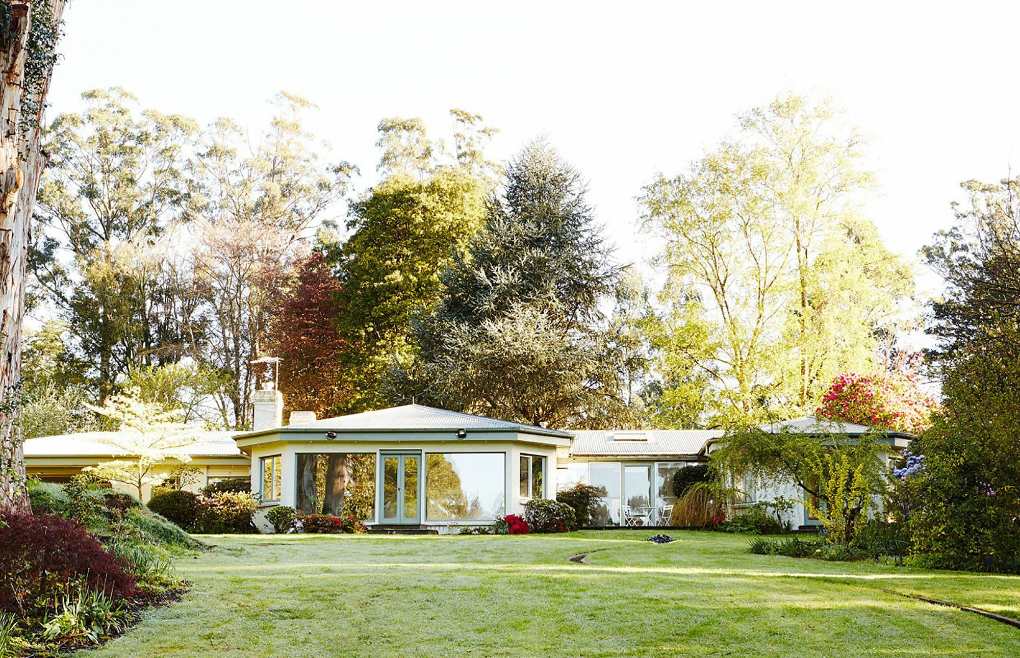 Maison d'hôtes Beechmont Garden Retreat à Olinda Extérieur photo